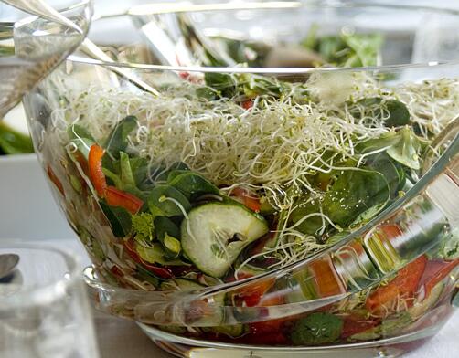 SPIRULINA SPROUT SALAD