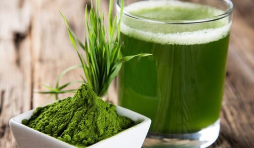 spirulina benefits brain