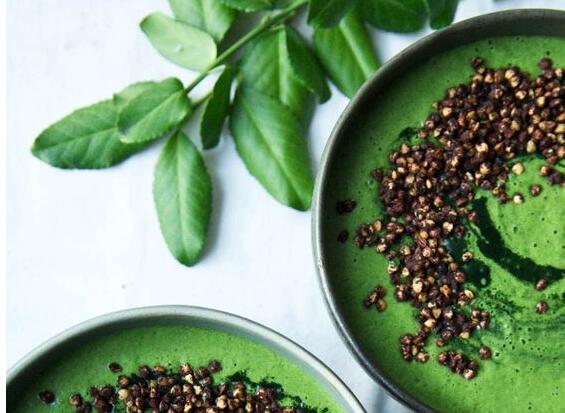 how does spirulina differ from chlorella and other blue-green algae?