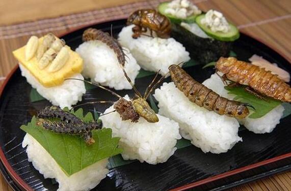 Eating insects? Why not?