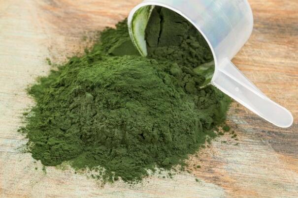 Introduction and morphological characteristics of spirulina