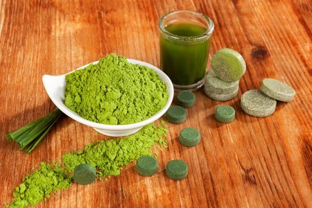 Green A Spirulina Pioneer of Human Resistance