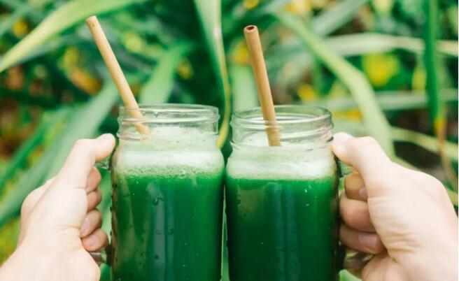 Obese people should eat more spirulina safe without side effects