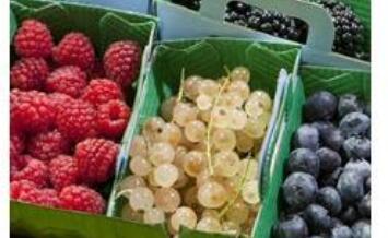 Low-fat in summer, eat more fruits and vegetables